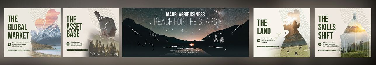 Māori agribusiness wide exhibition banner